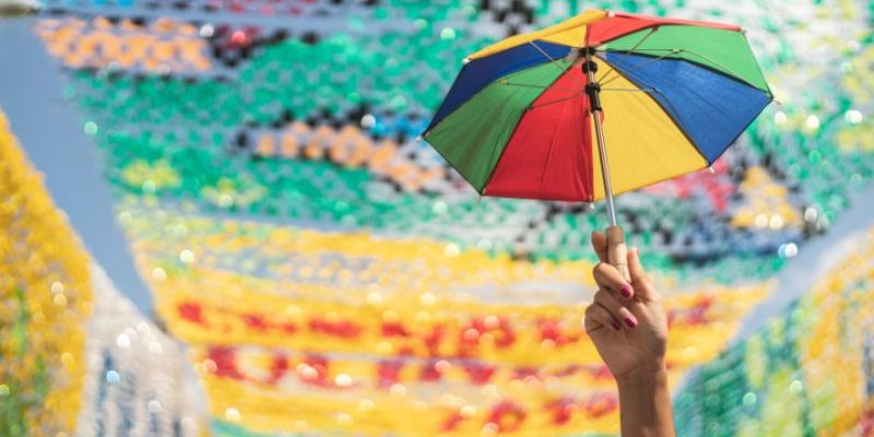 Do Frevo às Ruas: a Energia Cultural que Pernambuco Traz para o Carnaval Paulistano