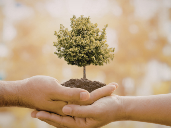 Pernambuco e a nova política de economia de impacto: um impulso real para empreendedores socioambientais