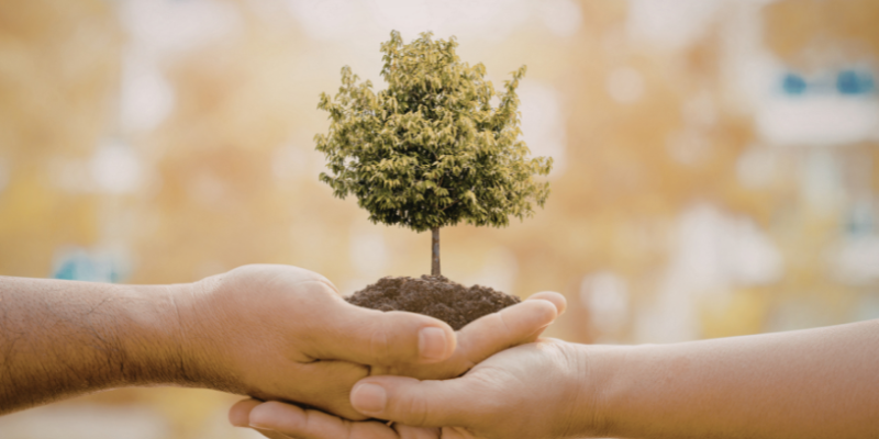 Pernambuco e a nova política de economia de impacto: um impulso real para empreendedores socioambientais