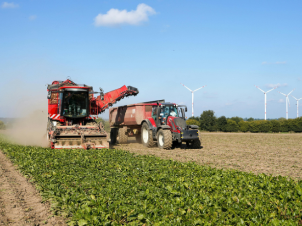O engenheiro agrônomo conectando ciência e campo para a segurança alimentar com Alfredo Moreira Filho.