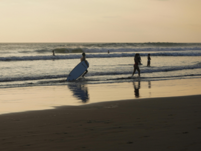 Tubarões em Fernando de Noronha: por que o mar revolto exige atenção redobrada dos banhistas