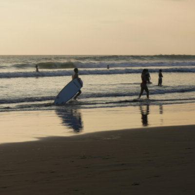 Tubarões em Fernando de Noronha: por que o mar revolto exige atenção redobrada dos banhistas