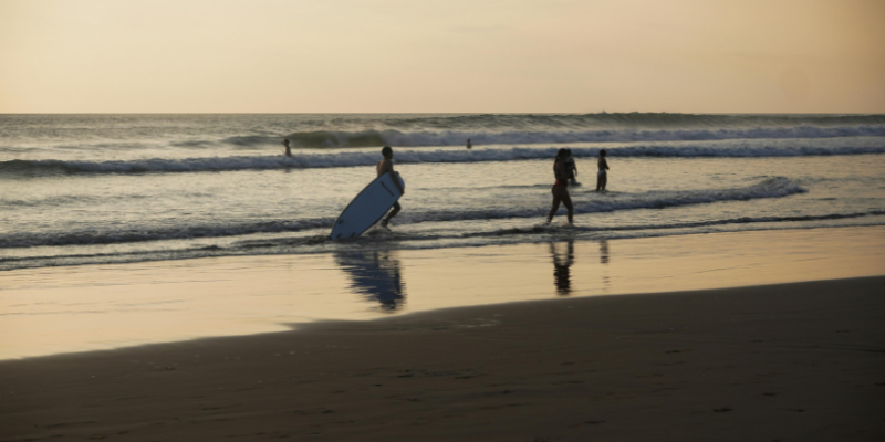Tubarões em Fernando de Noronha: por que o mar revolto exige atenção redobrada dos banhistas