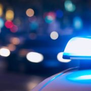 Violência contra capivara em Boa Viagem reacende debate sobre proteção animal e segurança urbana