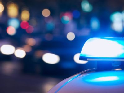 Violência contra capivara em Boa Viagem reacende debate sobre proteção animal e segurança urbana