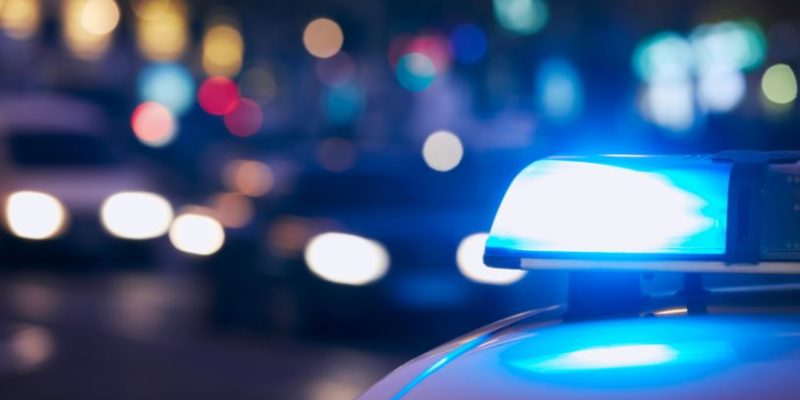 Violência contra capivara em Boa Viagem reacende debate sobre proteção animal e segurança urbana